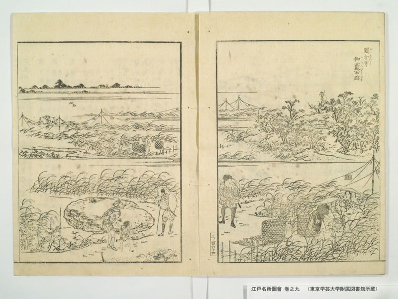 江戸名所図会 20巻 巻之9 - ページ 33
