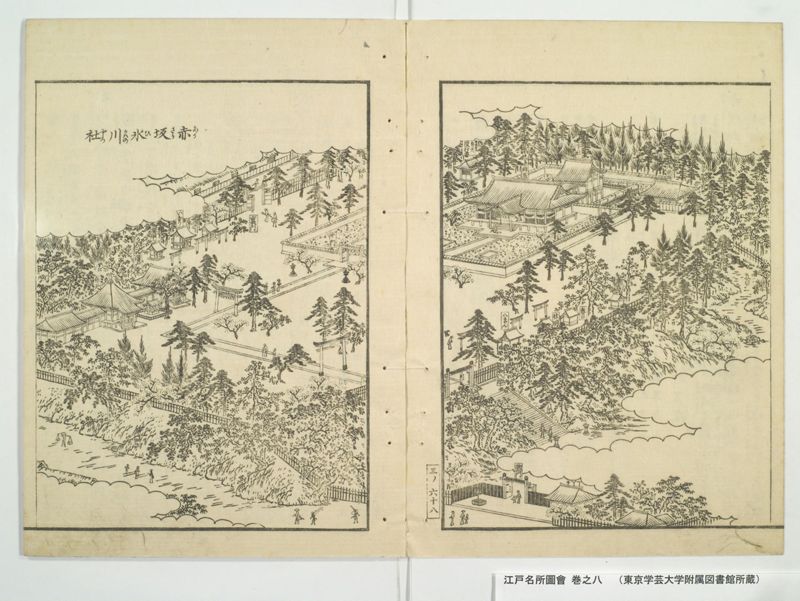江戸名所図会 20巻 巻之8 - ページ 13