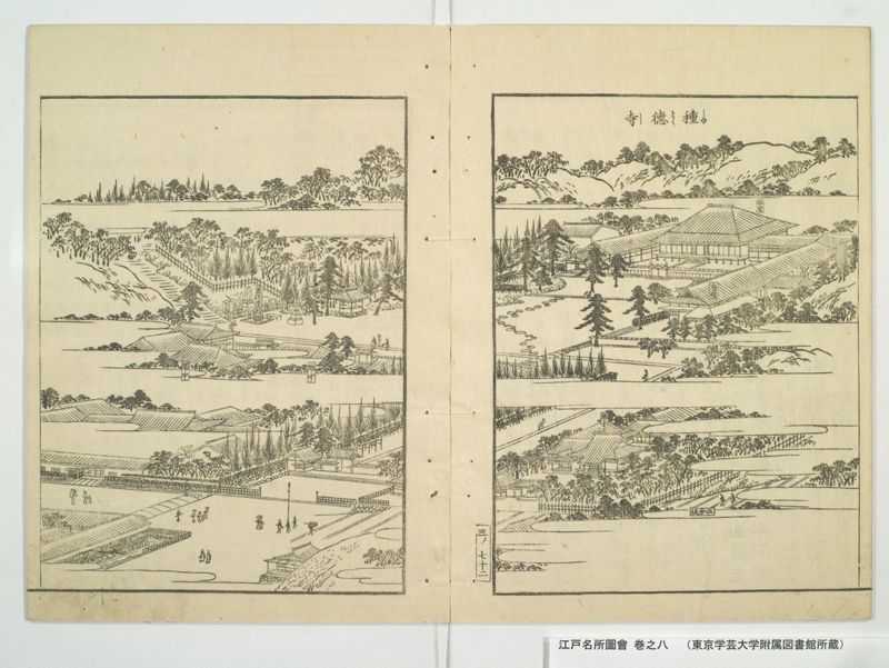 江戸名所図会 20巻 巻之8 - ページ 17