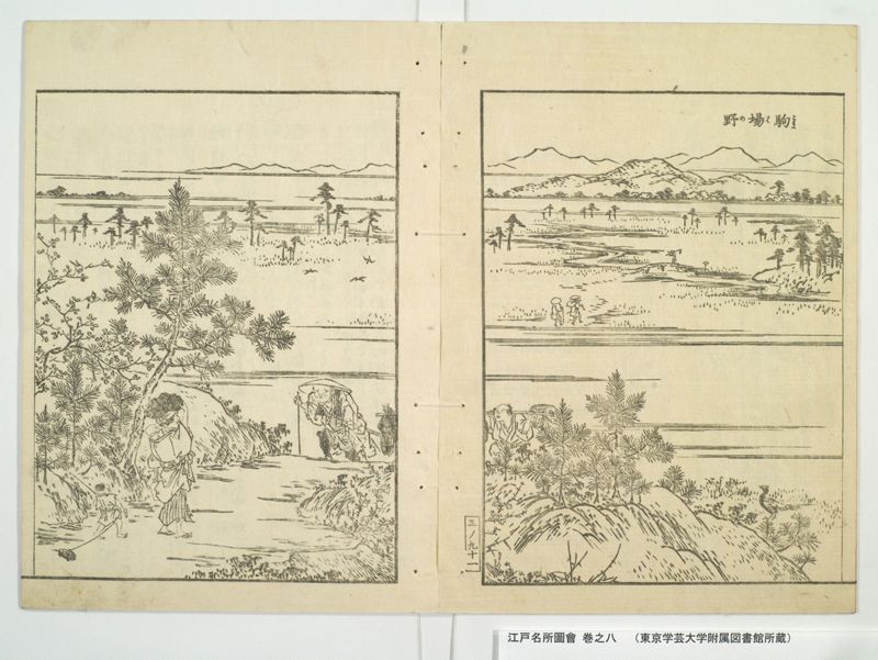 江戸名所図会 20巻 巻之8 - ページ 37