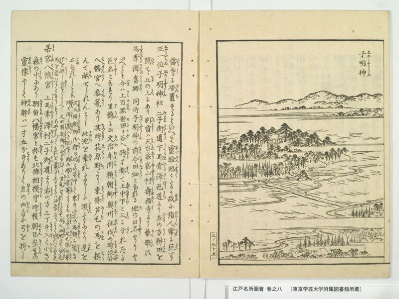 江戸名所図会 20巻 巻之8 - ページ 41