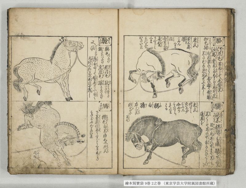 絵本写宝袋 9巻 2之巻 - ページ 11
