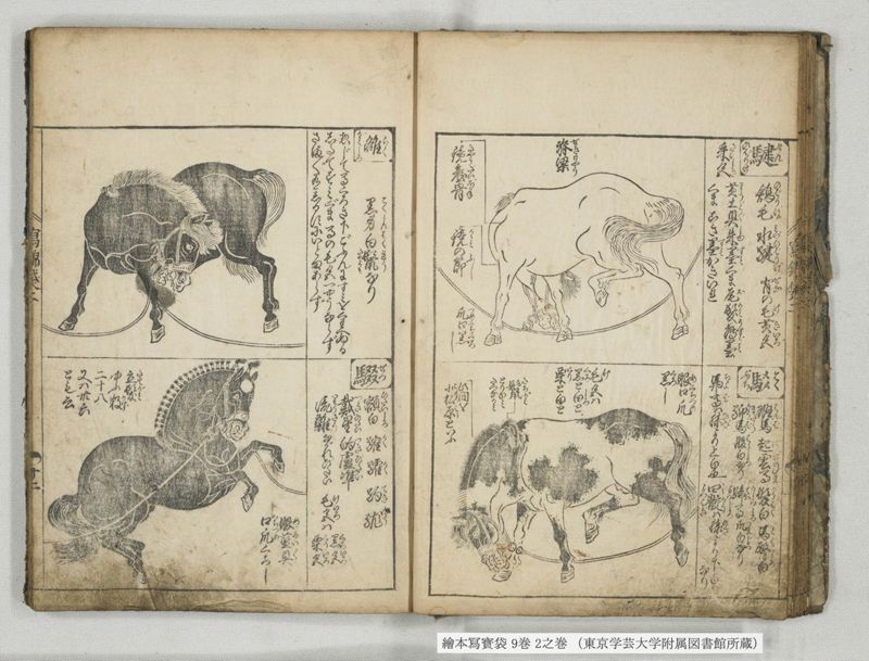 絵本写宝袋 9巻 2之巻 - ページ 13