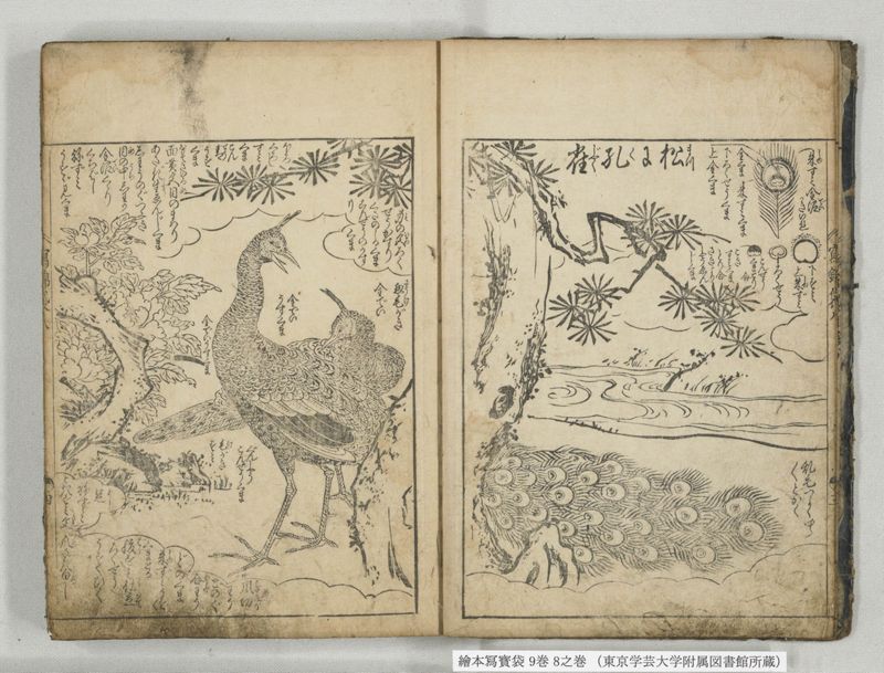 絵本写宝袋 9巻 8之巻 - ページ 5