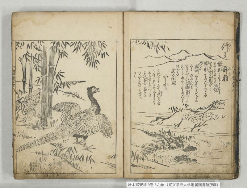 絵本写宝袋 9巻 8之巻 - ページ 7