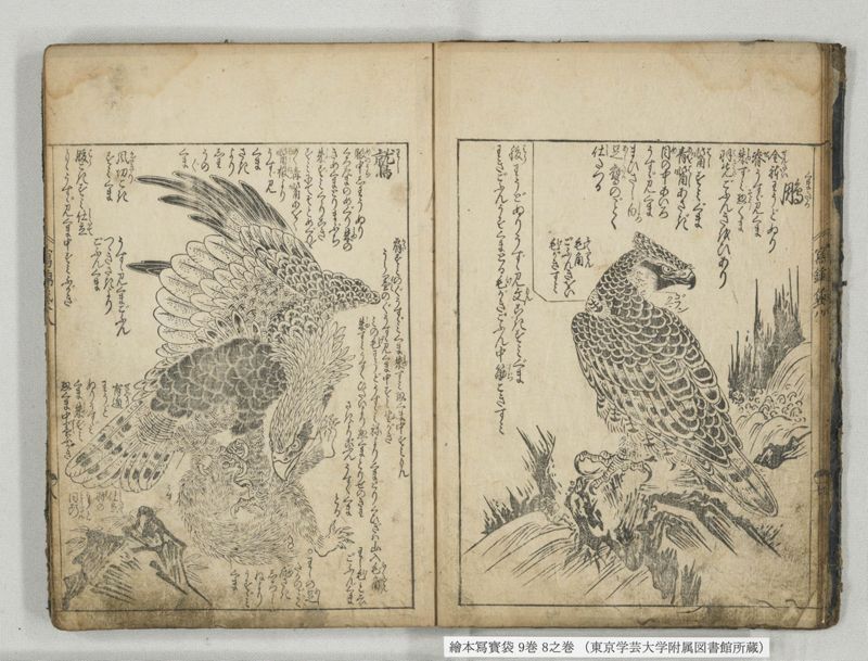 絵本写宝袋 9巻 8之巻 - ページ 9