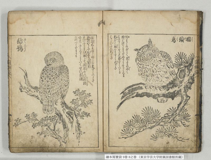 絵本写宝袋 9巻 8之巻 - ページ 10
