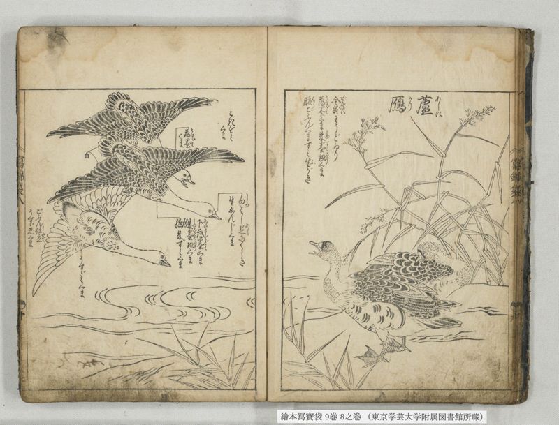 絵本写宝袋 9巻 8之巻 - ページ 11
