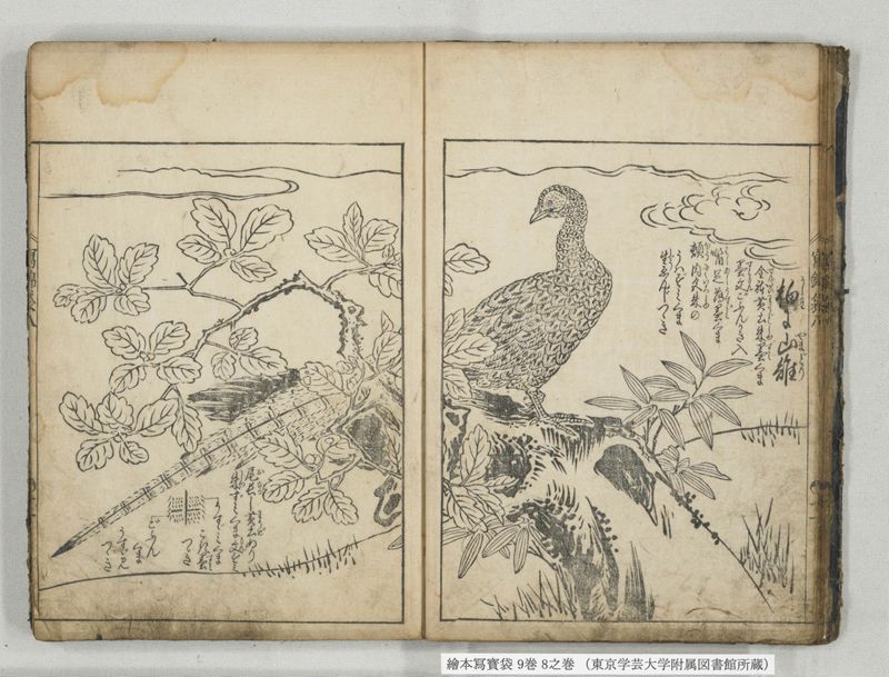 絵本写宝袋 9巻 8之巻 - ページ 13