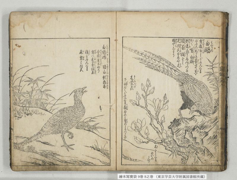 絵本写宝袋 9巻 8之巻 - ページ 14