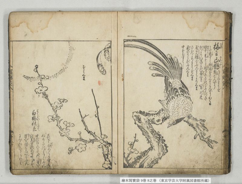 絵本写宝袋 9巻 8之巻 - ページ 16
