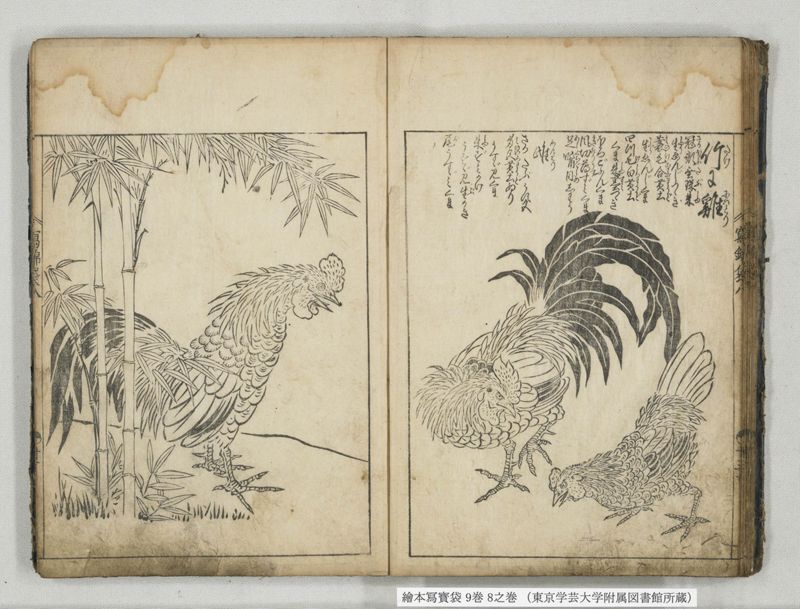 絵本写宝袋 9巻 8之巻 - ページ 17