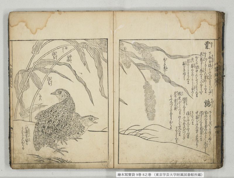 絵本写宝袋 9巻 8之巻 - ページ 18