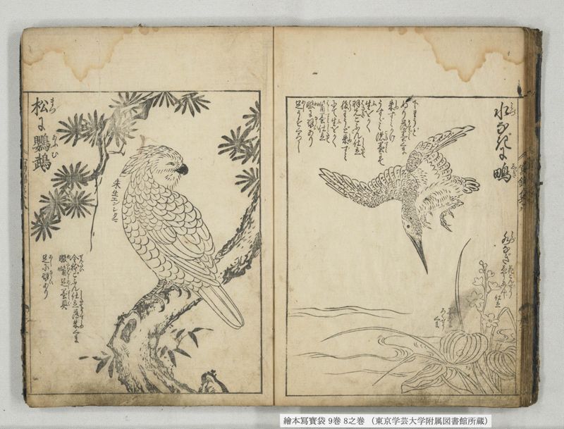 絵本写宝袋 9巻 8之巻 - ページ 19