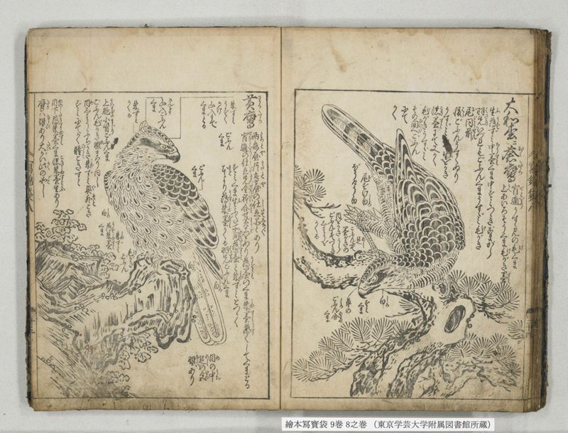 絵本写宝袋 9巻 8之巻 - ページ 21