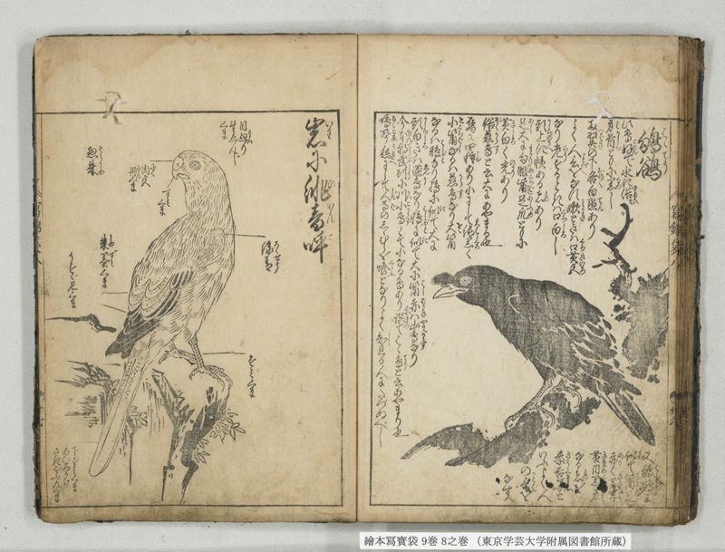 絵本写宝袋 9巻 8之巻 - ページ 23