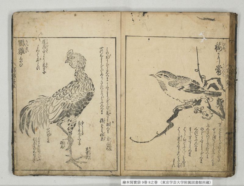 絵本写宝袋 9巻 8之巻 - ページ 24