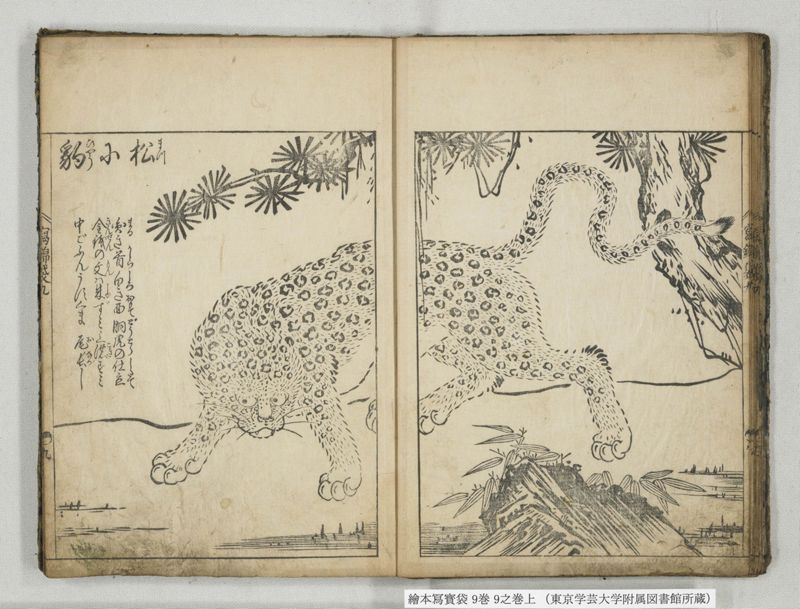 絵本写宝袋 9巻 9之巻上 - ページ 10