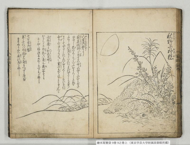 絵本写宝袋 9巻 9之巻上 - ページ 15