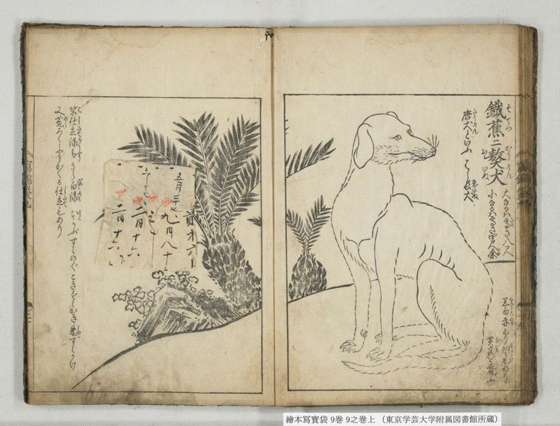 絵本写宝袋 9巻 9之巻上 - ページ 16