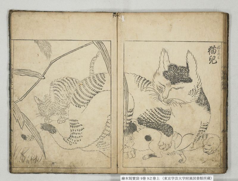 絵本写宝袋 9巻 9之巻上 - ページ 19