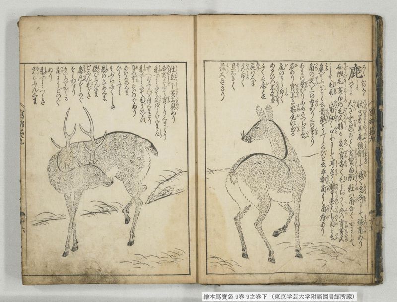 絵本写宝袋 9巻 9之巻下 - ページ 5