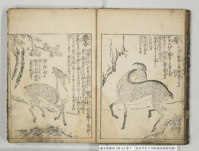 絵本写宝袋 9巻 9之巻下 - ページ 7