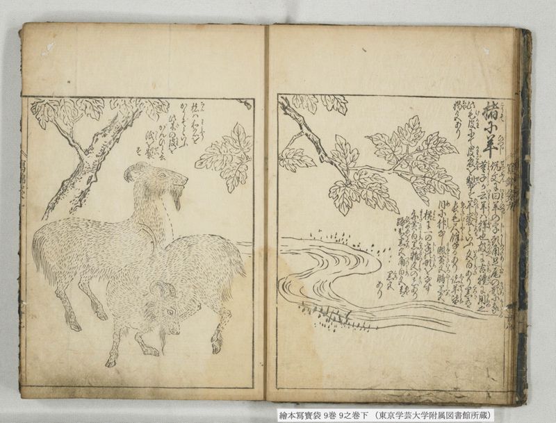 絵本写宝袋 9巻 9之巻下 - ページ 8