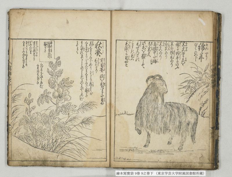 絵本写宝袋 9巻 9之巻下 - ページ 9