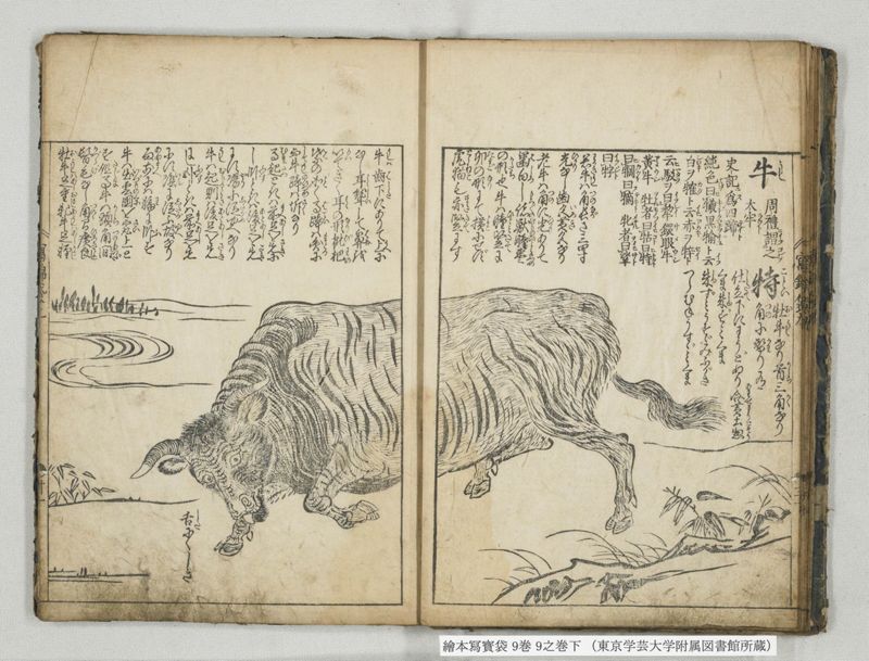 絵本写宝袋 9巻 9之巻下 - ページ 10