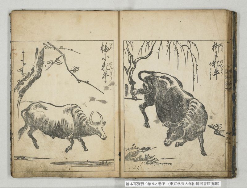 絵本写宝袋 9巻 9之巻下 - ページ 11