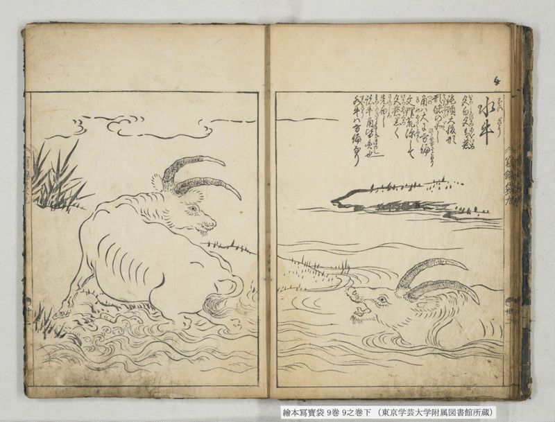 絵本写宝袋 9巻 9之巻下 - ページ 12