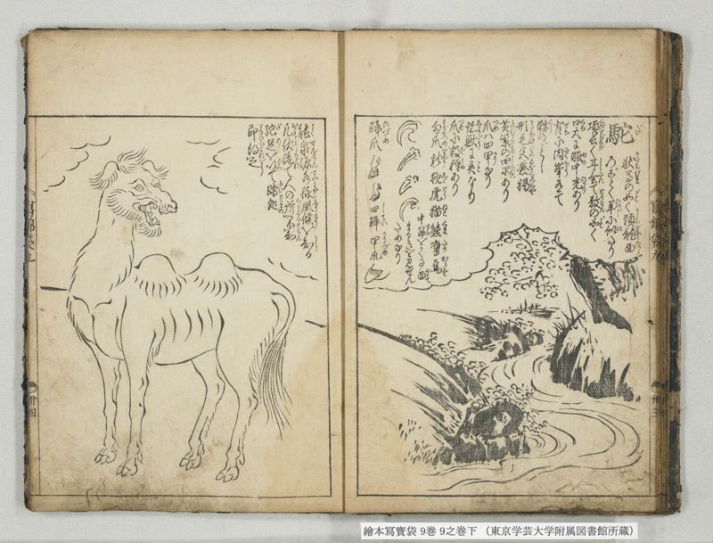 絵本写宝袋 9巻 9之巻下 - ページ 13