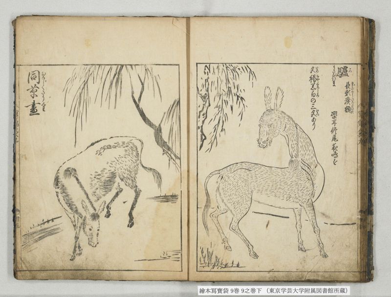 絵本写宝袋 9巻 9之巻下 - ページ 14