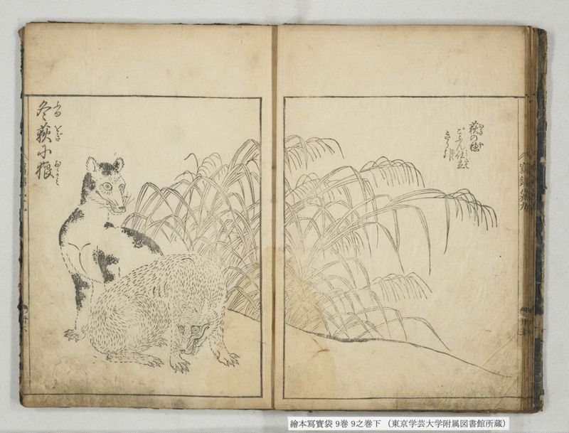 絵本写宝袋 9巻 9之巻下 - ページ 15