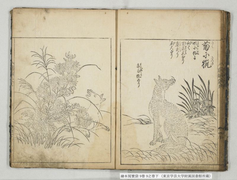 絵本写宝袋 9巻 9之巻下 - ページ 16