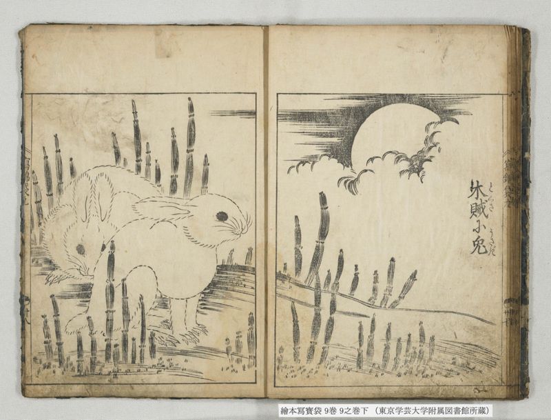 絵本写宝袋 9巻 9之巻下 - ページ 17