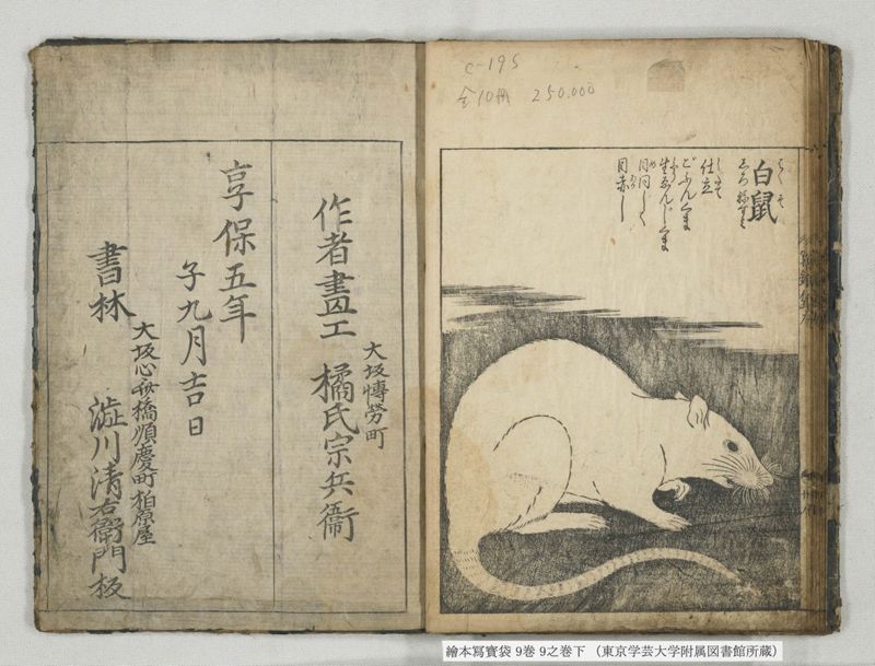 絵本写宝袋 9巻 9之巻下 - ページ 18