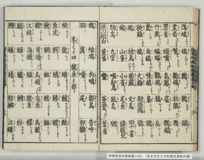 増補頭書訓蒙図彙大成 10巻 1:序, 凡例, 目録 - ページ 23