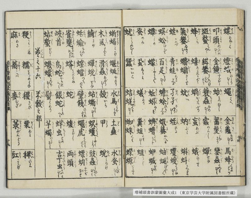 増補頭書訓蒙図彙大成 10巻 1:序, 凡例, 目録 - ページ 25