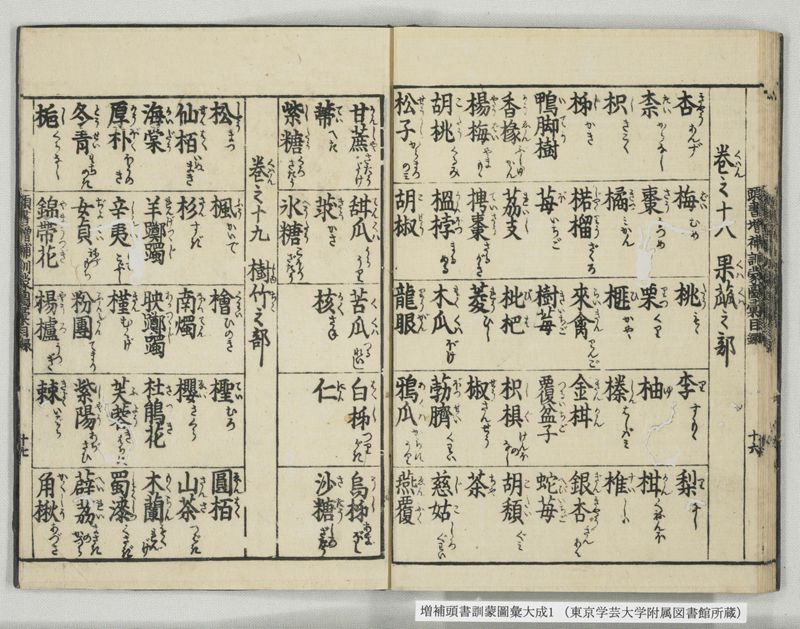 増補頭書訓蒙図彙大成 10巻 1:序, 凡例, 目録 - ページ 27
