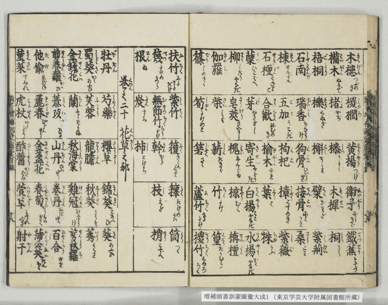 増補頭書訓蒙図彙大成 10巻 1:序, 凡例, 目録 - ページ 28