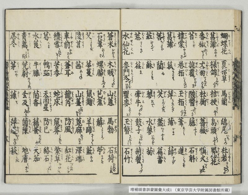 増補頭書訓蒙図彙大成 10巻 1:序, 凡例, 目録 - ページ 29