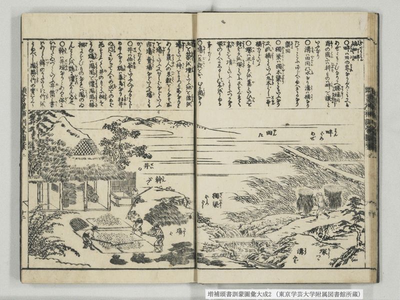 増補頭書訓蒙図彙大成 10巻 2:巻之1-3 - ページ 13