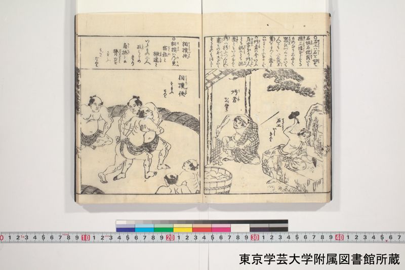 増補頭書訓蒙図彙大成 10巻 3:巻之4 - ページ 16
