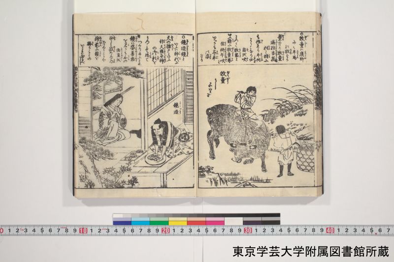 増補頭書訓蒙図彙大成 10巻 3:巻之4 - ページ 21