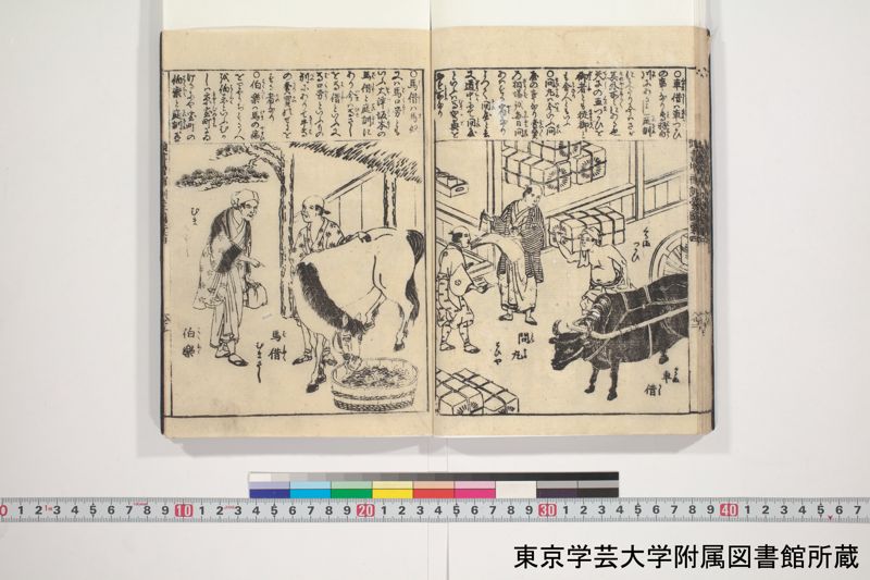 増補頭書訓蒙図彙大成 10巻 3:巻之4 - ページ 24