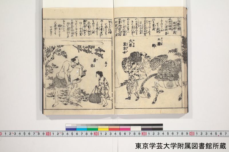 増補頭書訓蒙図彙大成 10巻 3:巻之4 - ページ 25