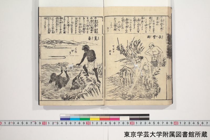 増補頭書訓蒙図彙大成 10巻 3:巻之4 - ページ 29