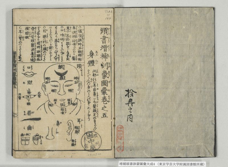 増補頭書訓蒙図彙大成 10巻 4:巻之5-8 - ページ 2
